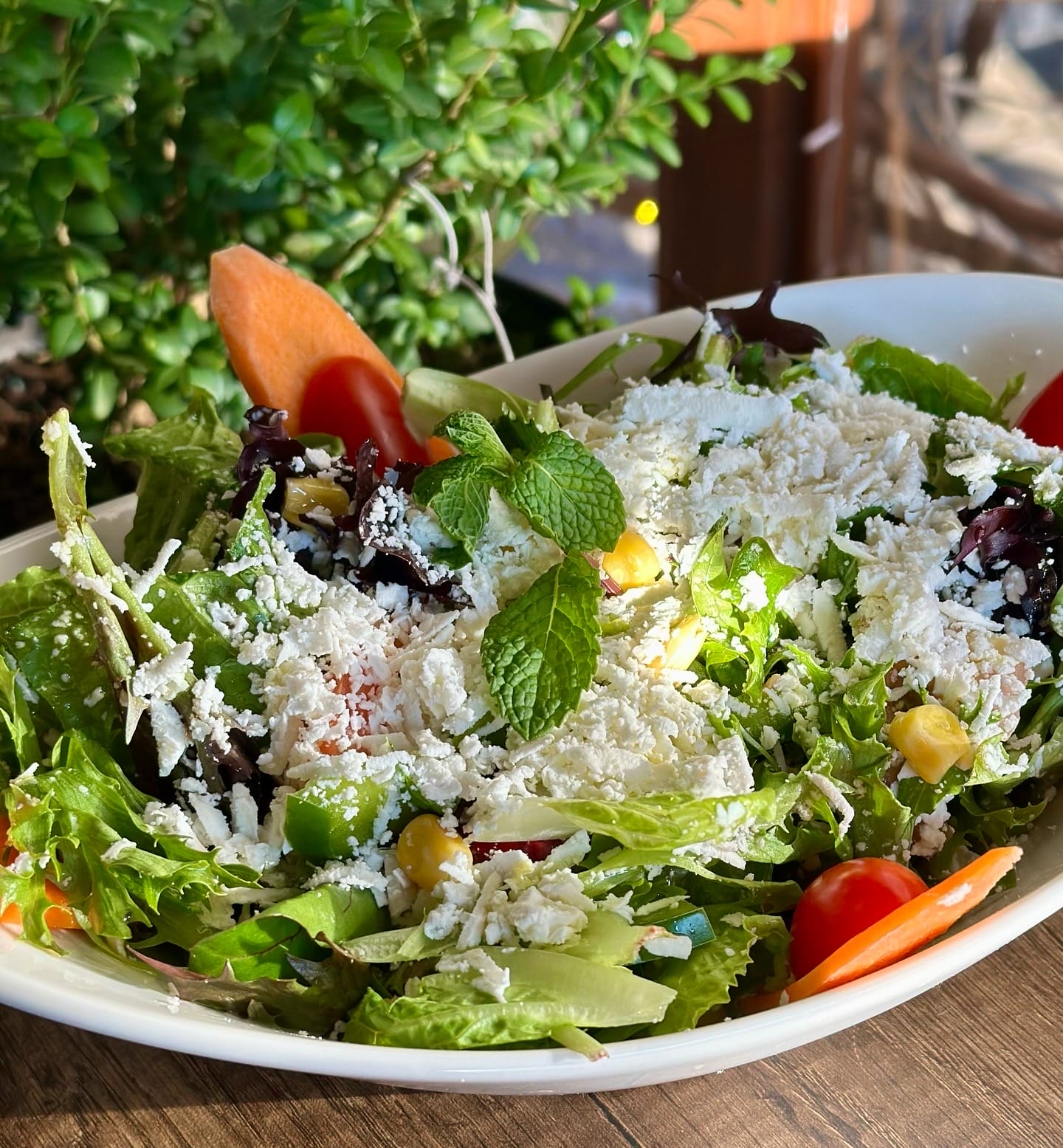 mediterranean salad large